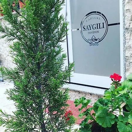 Saygili Pan-hotel Privatunterkunft *