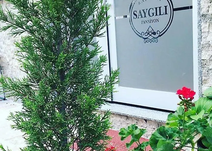 Saygili Pan-hotel Habitación en casa particular *